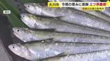 「夏の風物詩「エツ」の供養祭　筑後川の恵みに感謝　この10年は漁獲量が減少　来年の豊漁を祈願　福岡・大川市」の画像1