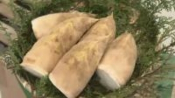 柔らかくで苦味少ない「合馬たけのこ」出荷始まる　豊作の「表年」で初日の持ち込みは去年の12倍　関西の料亭などへ卸される　福岡・北九州市