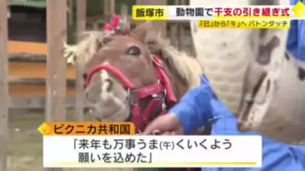 動物園で干支の引き継ぎ式　「ニシキヘビ」と「ポニー」が“出席”し「巳」から「午」へ　福岡県飯塚市