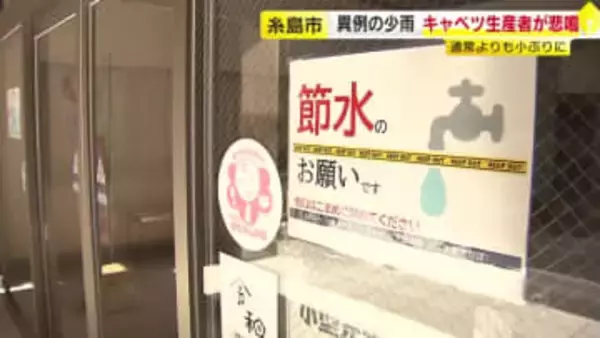 雨が少ない福岡県　“この100年で最少”の市も　キャベツは小ぶりに　うどん店は「水がないと営業できない」　野菜生産者も飲食店も悲鳴　県はこまめな節水を呼びかけ