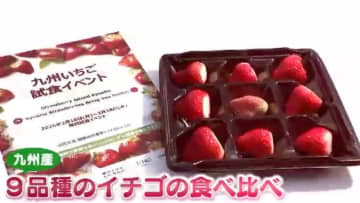 「九州産イチゴの魅力知って」海外からの観光客に熱烈アピール　福岡空港で9品種を食べ比べできるイベント開催