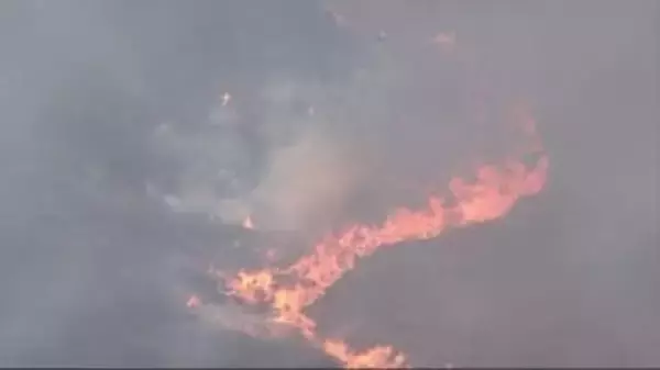 【速報】炎と煙が広がる　福津市で枯れ草など焼く火事　当時は強風・乾燥注意報が発表中　消防が消火活動続ける　福岡