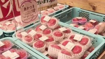 厳しい暑さが“追い風”　旬のモモがより甘く　「日差しで甘さが増していく」　約60種類が続々登場　福岡県内一の生産量　「道の駅うきは」
