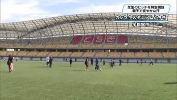 スポーツの日　カンセキスタジアムとちぎでピッチが開放　親子で汗