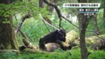 「生きた心地しなかった」迫りくる子連れクマ  栃木県の目撃情報増加　注意呼びかけ