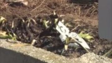 宇都宮市の連続不審火　市内在住の３６歳男を再逮捕