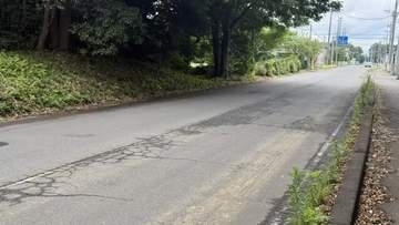高齢の歩行者が乗用車にはねられ死亡　小山市