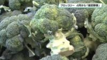 ブロッコリー「指定野菜」に追加　栃木県野木町の生産者は喜びの声