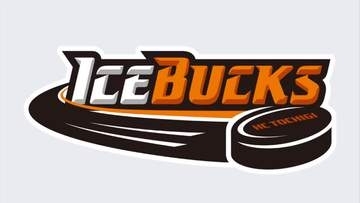 Ｈ．Ｃ．栃木日光アイスバックス　ＨＬアニャンに１対２で敗れる　ホーム開幕３連戦