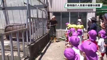動物園の人気者が歯磨き披露　歯と口の健康週間にちなみ宇都宮動物園