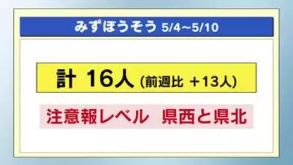 「みずぼうそう」の感染者増　栃木県内感染症まとめ（５月４日～１０日）