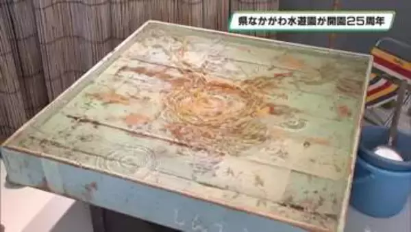 開園２５周年を多彩に祝う　栃木県なかがわ水遊園で記念式典　記念の企画展もスタート