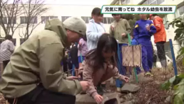 ホタル元気に育ってね　ゲンジボタル幼虫とカワニナをビオトープに放流　宇都宮市西原小