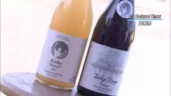 「大平ぶどう団地」産ワインの出荷準備始まる　栃木市