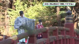 「一年のけがれを払う　日光二荒山神社の神橋ですす払い」の画像1