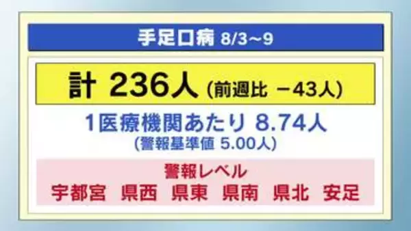 手足口病　栃木県全域で警報レベル　６週連続　感染症まとめ（８月３日～９日）