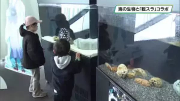 海の生物と「転スラ」映画のコラボ展示　なかがわ水遊園で５月６日まで　大田原市