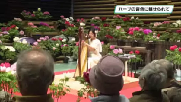ハープの音色に魅せられて　芳賀町出身のハープ奏者・阿久津瞳さん演奏会　日光市