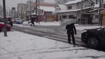 栃木県に大雪　交通に影響