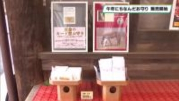 午年にちなみ「馬」のデザインのお守り販売　那須塩原市の引退馬の養老施設と乃木神社