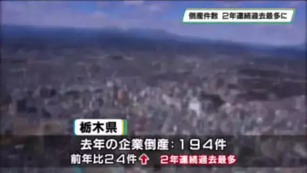 2025年の栃木県内の企業倒産194件 2年連続過去最多を更新