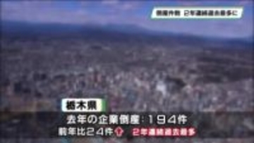 2025年の栃木県内の企業倒産194件 2年連続過去最多を更新