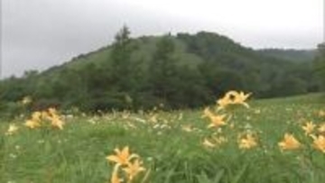 キスゲ平園地の駐車場　６月から有料化　維持管理費備え、ポイ捨てのごみ処分費用かさむ　日光