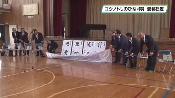 子どもたちの思い込められた４羽の愛称決定　渡良瀬遊水地のコウノトリのひな　小山市