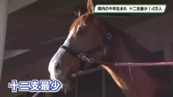 ２０２６年の干支　午年生まれの栃木県民　十二支最少の１４万人