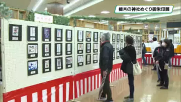ユニークな御朱印ズラリ　栃木県内の１０３神社