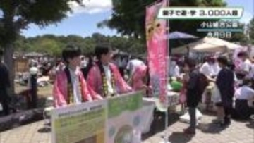 おやま子どもフェア　ご当地ヒーローや地元人気キャラクターも　小山市