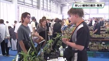 珍しい植物の展示・販売　「樹祭」が関東初開催