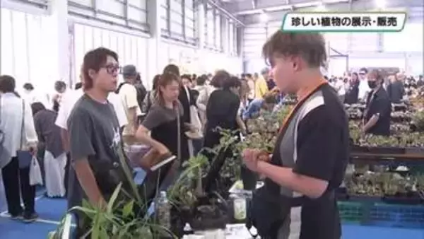 珍しい植物の展示・販売　「樹祭」が関東初開催