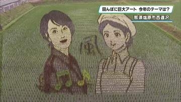 那須塩原の広大な大地に描く　「風」をテーマに田んぼアート