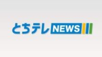 大相撲春巡業「宇都宮場所」若ノ勝関（宇都宮出身）大歓声に応え猛稽古