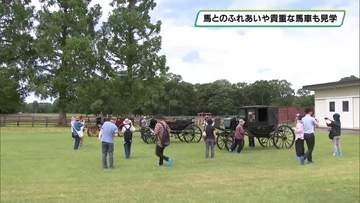 馬とのふれあいや貴重な馬車の展示も　宮内庁の御料牧場で一般対象の見学会