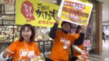 初午（はつうま）　栃木で初午といえば…郷土料理「しもつかれ」です！