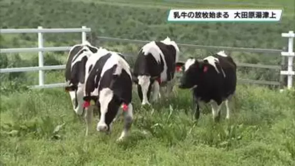 大田原市で放牧場への入牧始まる