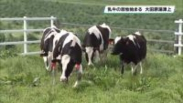 大田原市で放牧場への入牧始まる