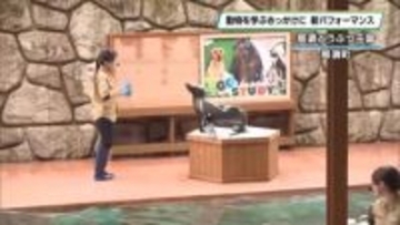 新パフォーマンス「ZOO STUDY！」　動物を知るきっかけに　那須どうぶつ王国