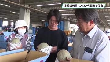 初夏を告げる甘い香り　本格出荷を前にメロンの目ぞろい会　JAはが野メロン部会などが開催