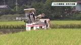「栃木県はコシヒカリの概算金１万５５００円に決定　 家計には朗報 生産者は危機感 　JA全農とちぎ」の画像1