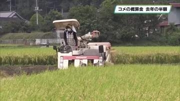 栃木県はコシヒカリの概算金１万５５００円に決定　 家計には朗報 生産者は危機感 　JA全農とちぎ