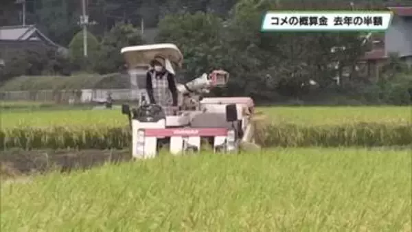 栃木県はコシヒカリの概算金１万５５００円に決定　 家計には朗報 生産者は危機感 　JA全農とちぎ