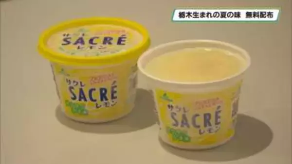 猛暑に涼を　サクレレモン無料配布　宇都宮