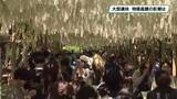 「春の大型連休　物価高騰の影響は？」の画像1