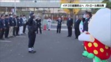 イチゴの盗難被害防ごう　真岡でパトロール隊出陣