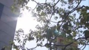 関東で「春一番」 2年ぶり観測 栃木県内は佐野で23．9度と2月の観測史上最高に