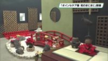 「和」と調和　ポインセチア展開催　とちぎ花センター