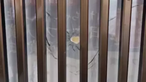 弾らしきもの通過する様子　店の防カメに映る　器物損壊容疑で警察が捜査　日光市